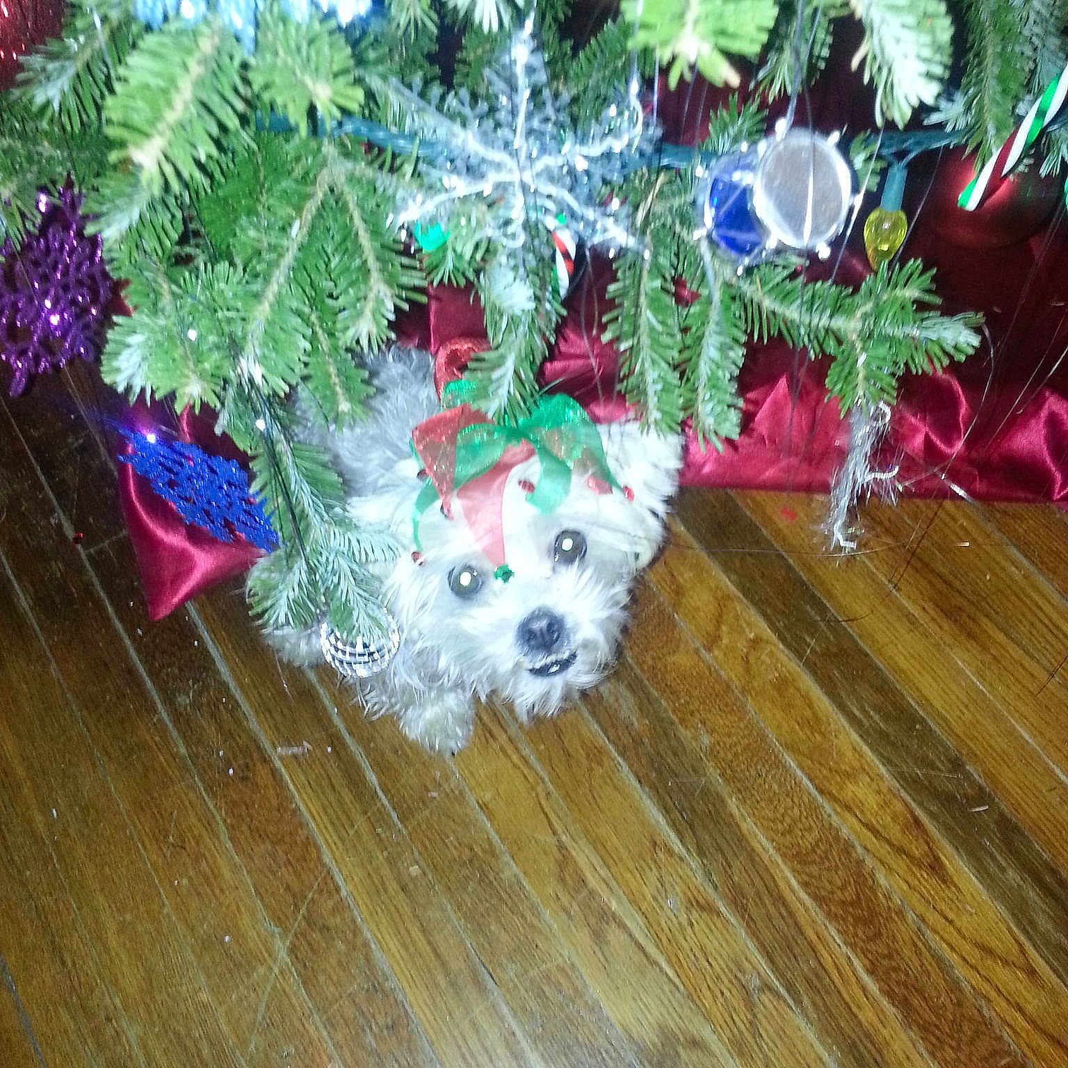 Baby is registered to the contest to win money with this photo: