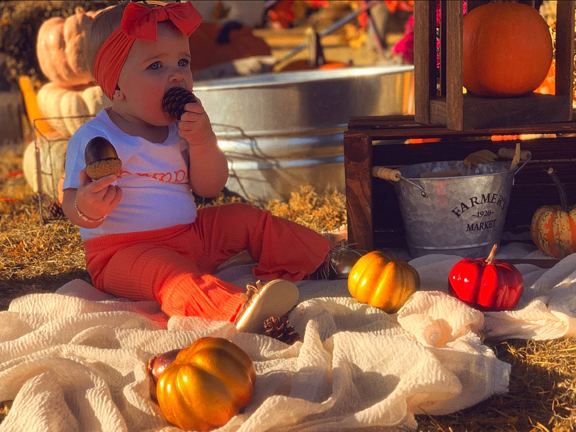 Brynnlee Noelle is registered to the contest to win money with this photo: baby, baby_toddler_clothing, calabaza, cucurbita, fun, gourd, hat, lighting, local_food, natural_foods, orange, person, plant, pumpkin, sitting, squash, toddler, tree, vegetable, winter_squash