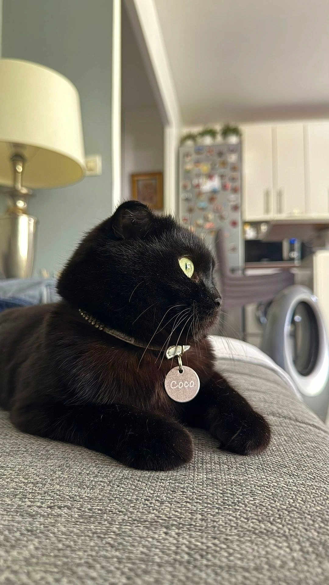 Coco