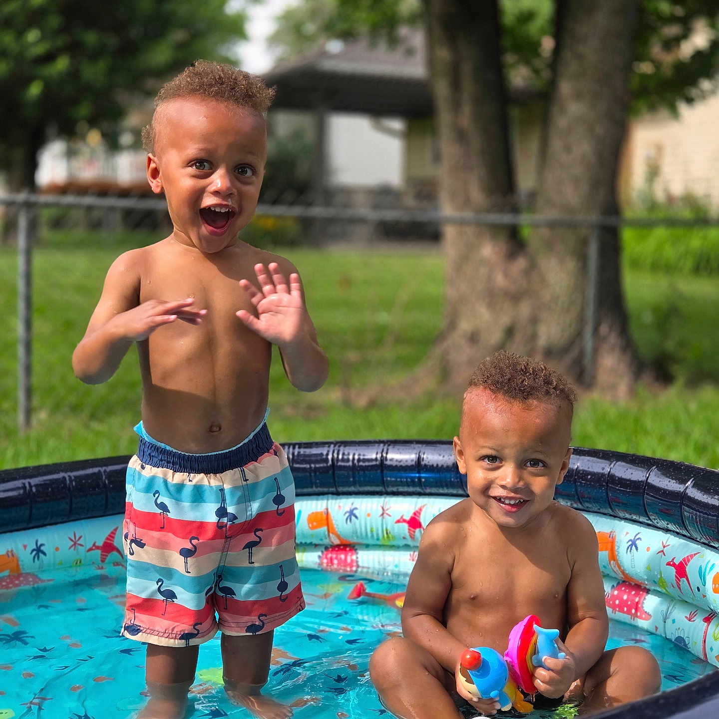Raziel And Kairo is registered to the contest to win money with this photo: backyard, barefoot, child, curly_hair, fence, fun, grass, happy, outdoor, play, pool, shorts, smile, splash, summer, sunlight, toddler, toy, tree, water