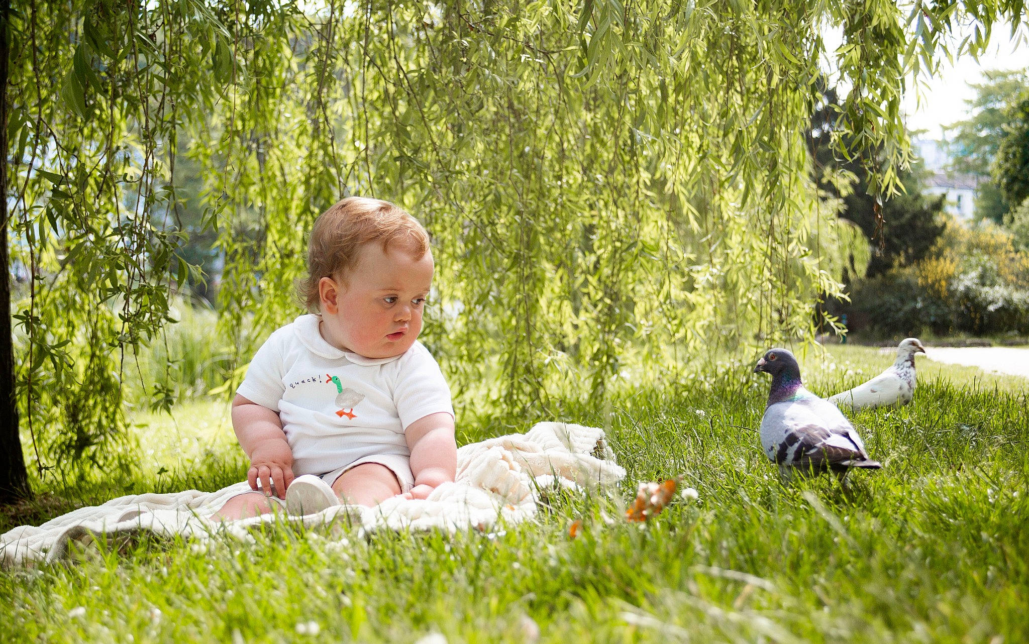 Harrison is registered to the contest to win money with this photo: _geese_and_swans, baby, beak, child, ducks, fun, grass, grass_family, grassland, happy, lawn, leisure, meadow, people_in_nature, person, plant, prairie, recreation, sitting, stock_dove
