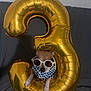 accessory, animal, balloon, celebration, cute, dog, fabric, fashion, funny, gold, indoor, number_three, party, pet, playful, portrait, relaxed, scarf, small_dog, sunglasses