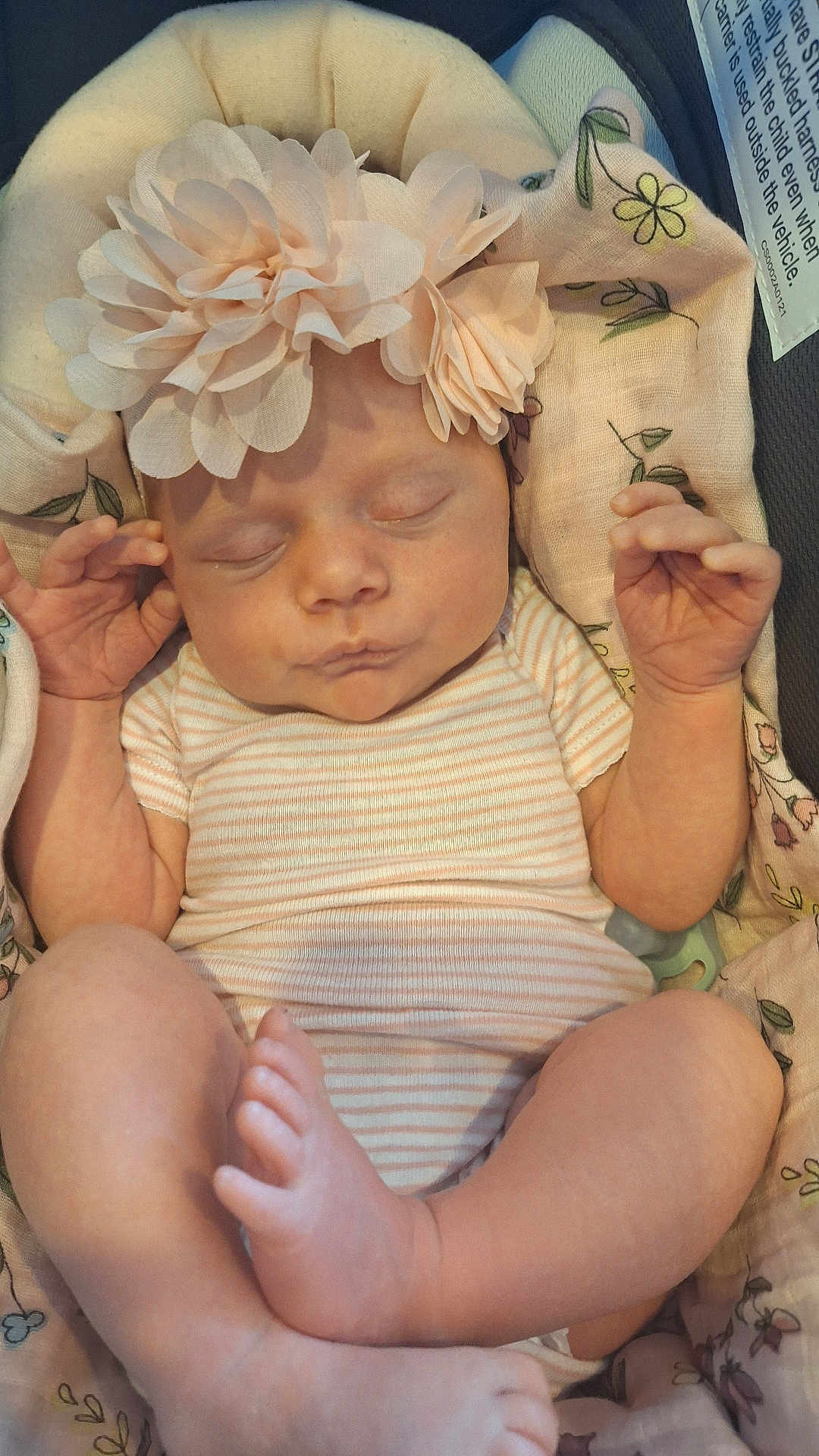 Macie is registered to the contest to win money with this photo: baby, sleeping, flower_headband, striped_onesie, blanket, infant, hands, feet, cozy, closeup, cute, newborn, soft, peaceful, child, portrait, resting, floral_pattern, car_seat, adorable