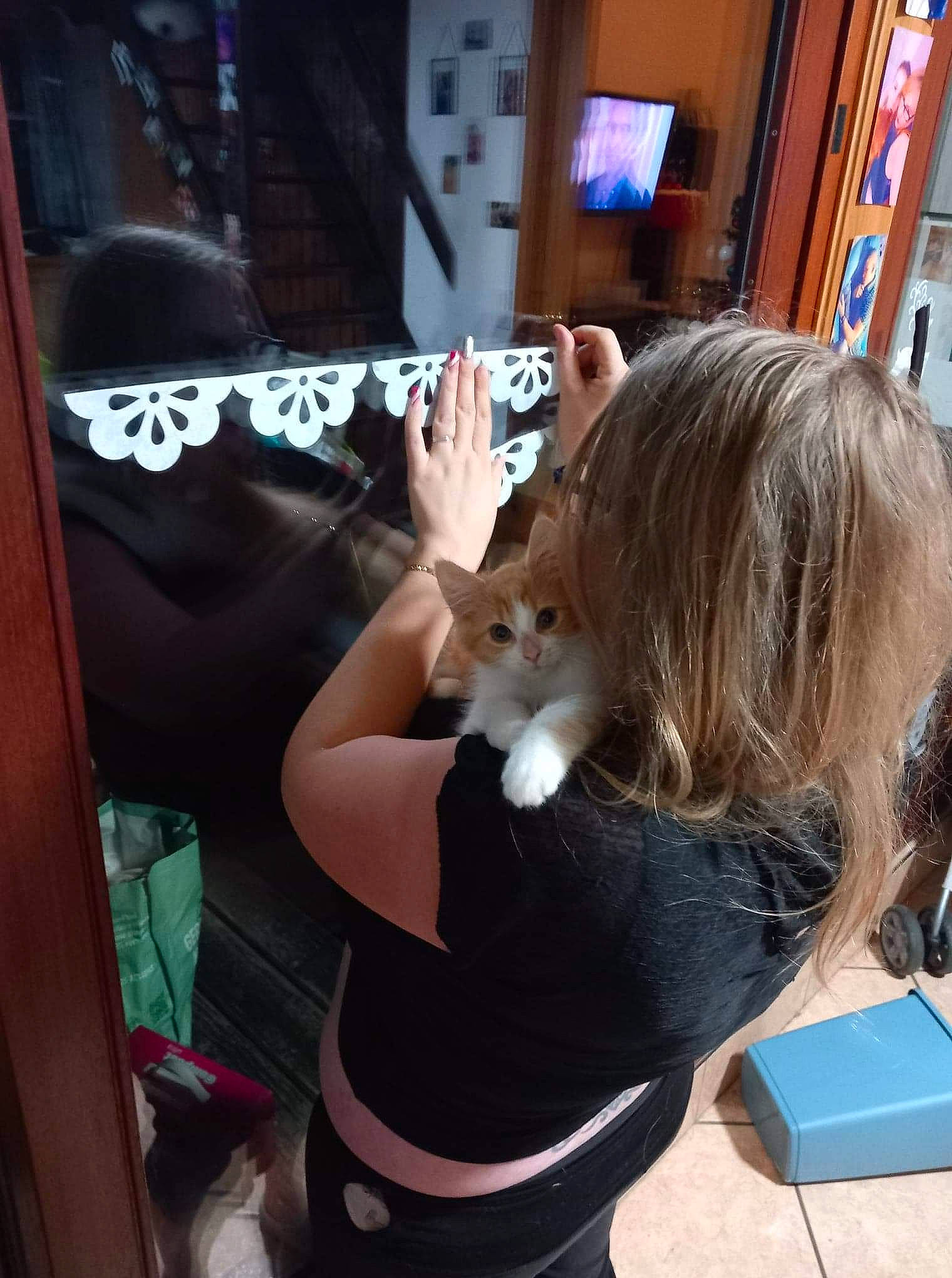 Tigrou participe au concours pour gagner de l'argent avec cette photo : bangs, box, brown_hair, canidae, carnivore, child, companion_dog, fashion_accessory, fawn, felidae, fun, fur, hair_coloring, hime_cut, human_leg, long_hair, small_to_medium_sized_cats, t_shirt, thigh, whiskers