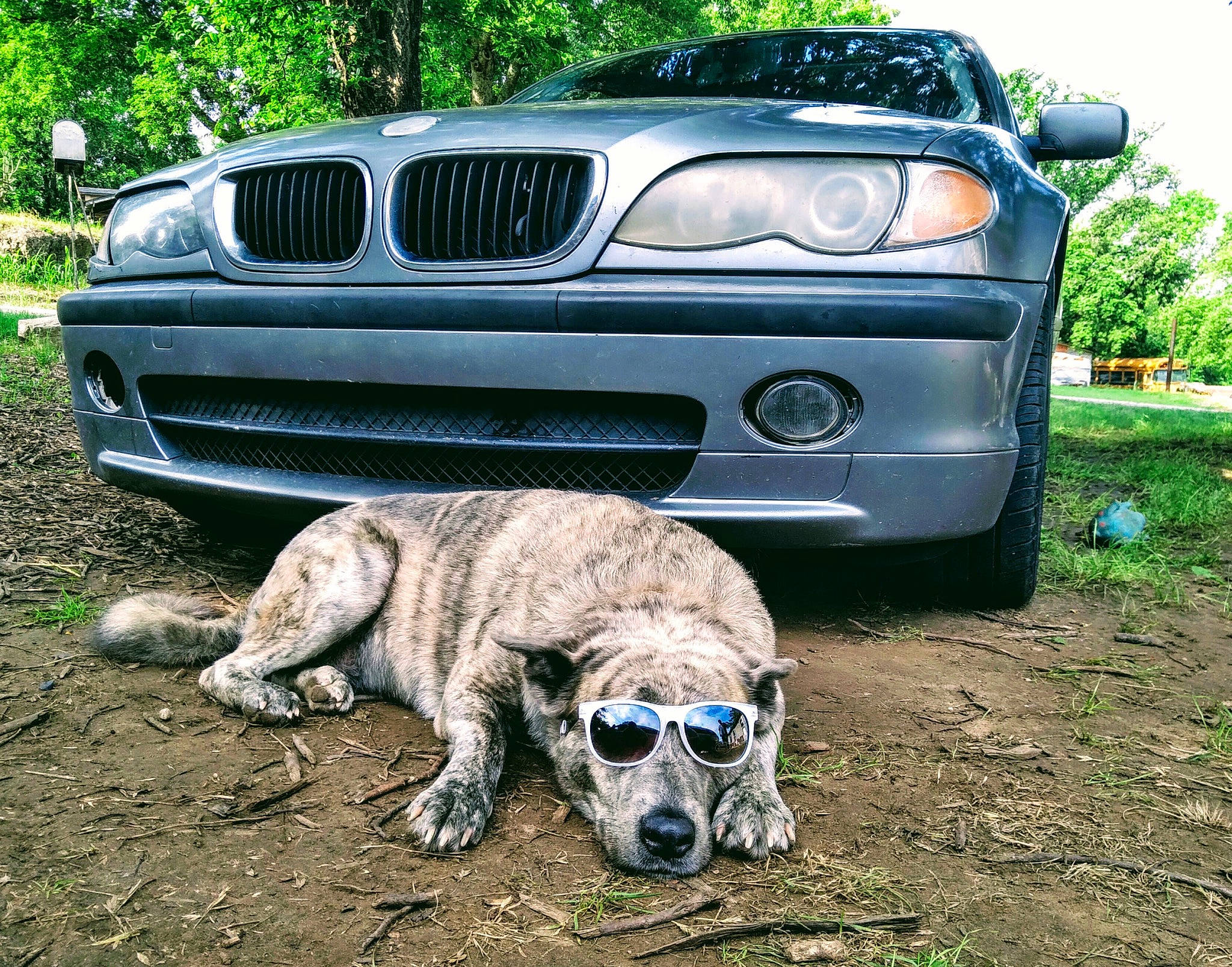 Obsidian joined the competition — help win amazing prizes! alloy_wheel, automotive_design, automotive_exterior, automotive_light_bulb, automotive_lighting, automotive_tire, blue, bumper, car, carnivore, fender, grille, headlamp, hood, motor_vehicle, plant, tire, vehicle, vehicle_registration_plate, wheel