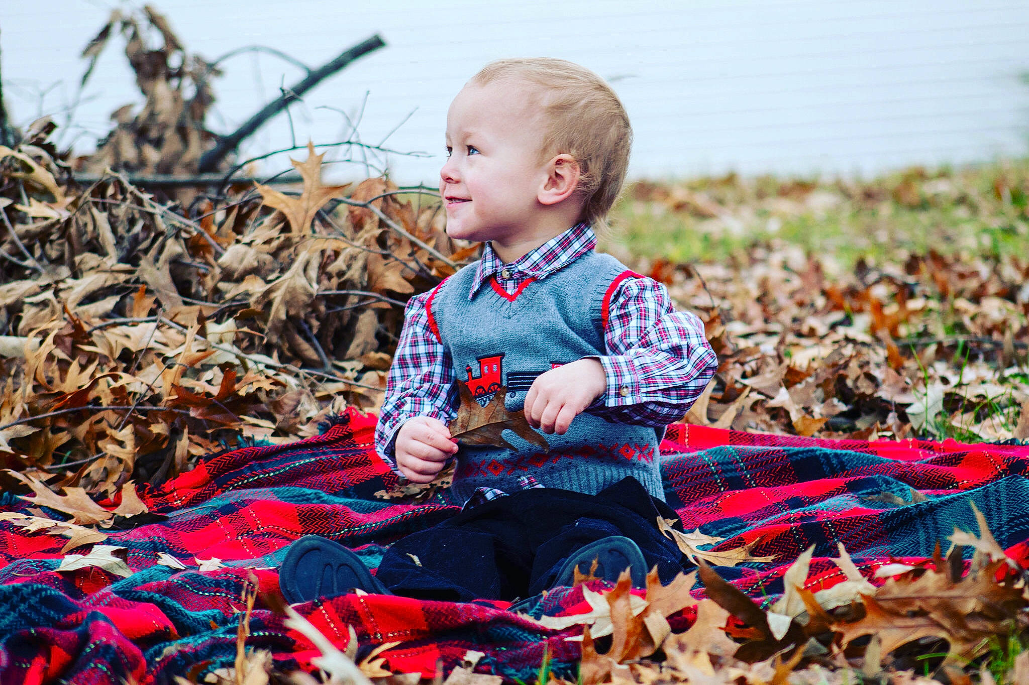 Braydon is registered to the contest to win money with this photo: autumn, child, child_model, design, leaf, pattern, people_in_nature, person, photography, plaid, plant, play, playing_with_kids, portrait_photography, sitting, tartan, textile, toddler