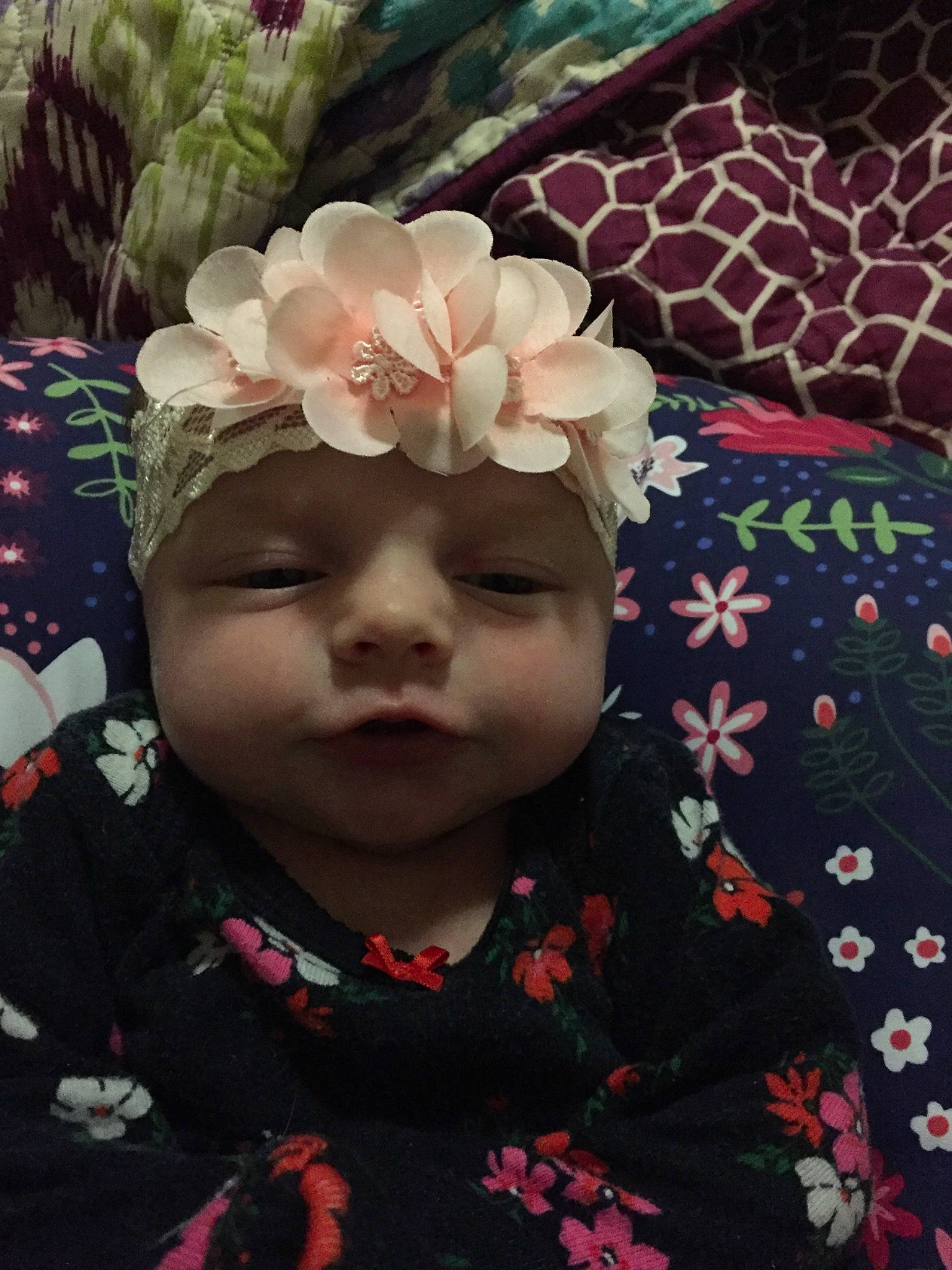 Adaleigh joined the competition — help win amazing prizes! baby, cheek, child, face, flower, hair_accessory, head, headgear, headwear, leaf, person, petal, photography, pink, plant, smile, toddler