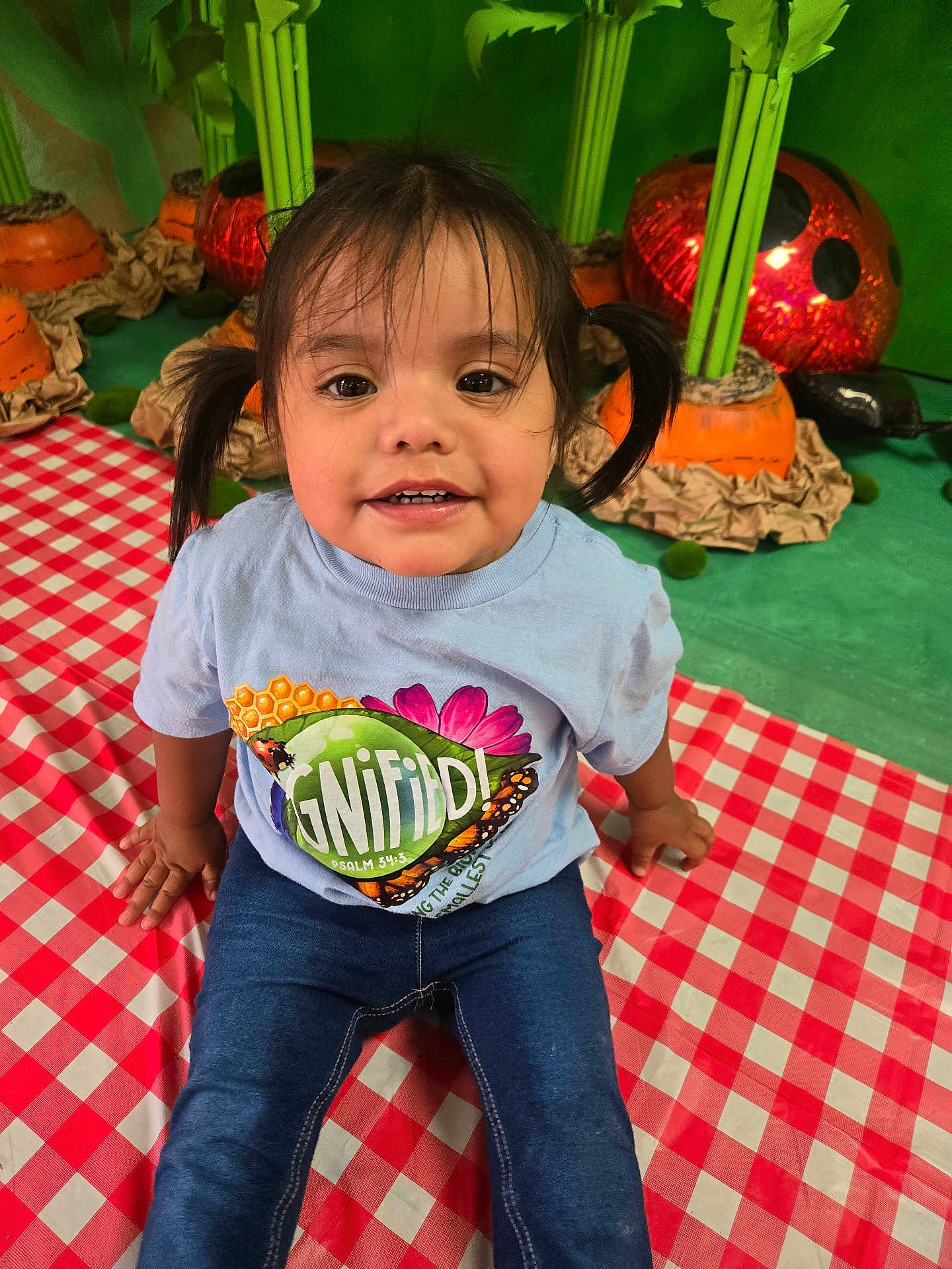 Gema is registered to the contest to win money with this photo: toddler, child, girl, pigtails, smile, picnic_blanket, checkered, jeans, tshirt, indoor, decorations, carrots, ladybug, green_background, playful, cute, portrait, seated, happy, curious