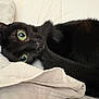 cat, black_cat, green_eyes, close_up, bedding, towel, cozy, indoor, whiskers, tail, fur, portrait, looking_at_camera, playful, resting, nap, fabric_texture, soft, eye_contact, pet
