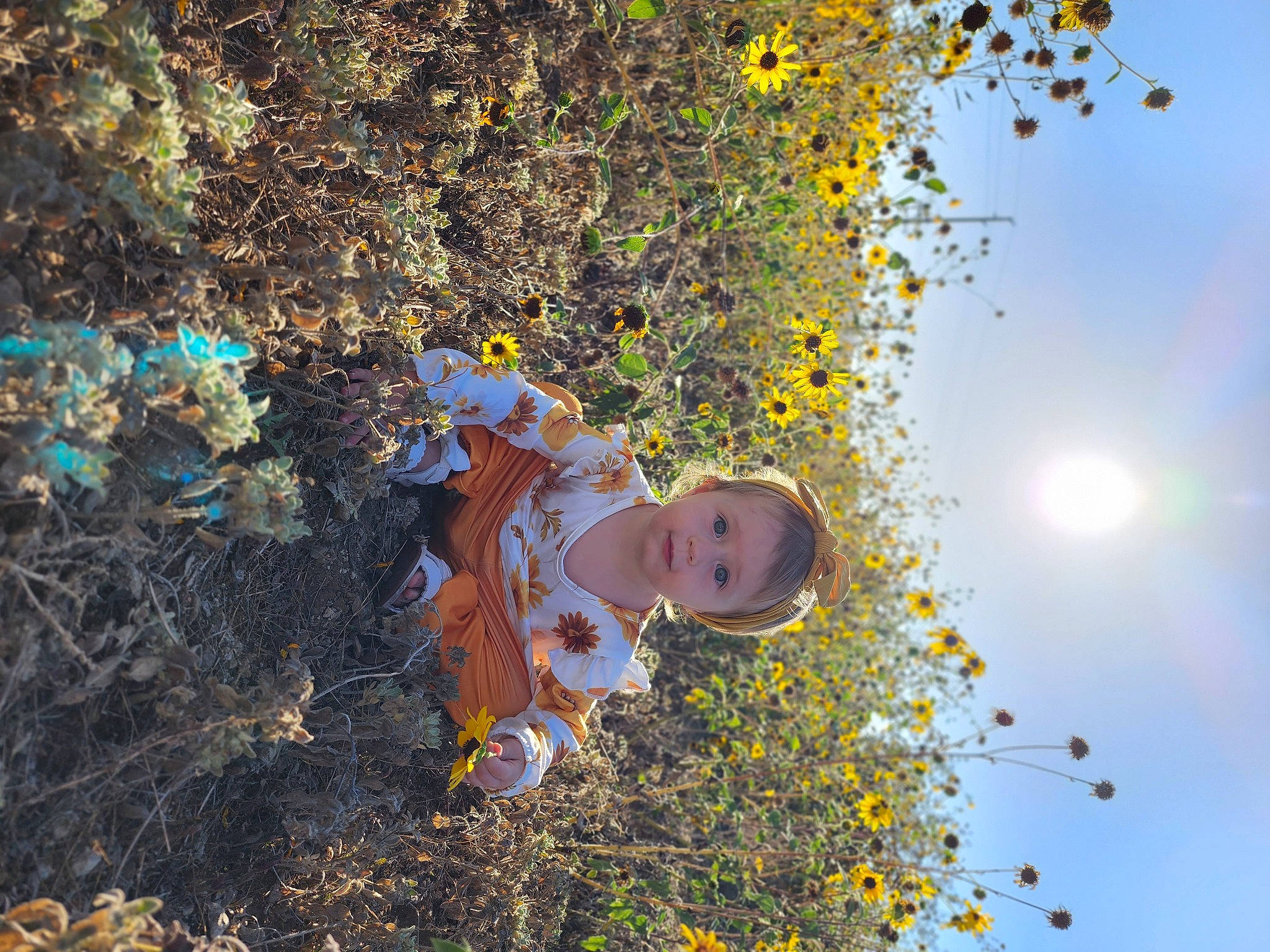 Cheyenne is registered to the contest to win money with this photo: branch, child, deciduous, fun, grass, happy, landscape, leaf, leisure, people_in_nature, person, plant, shadow, sky, soil, spring, sunlight, toddler, tree, wildflower