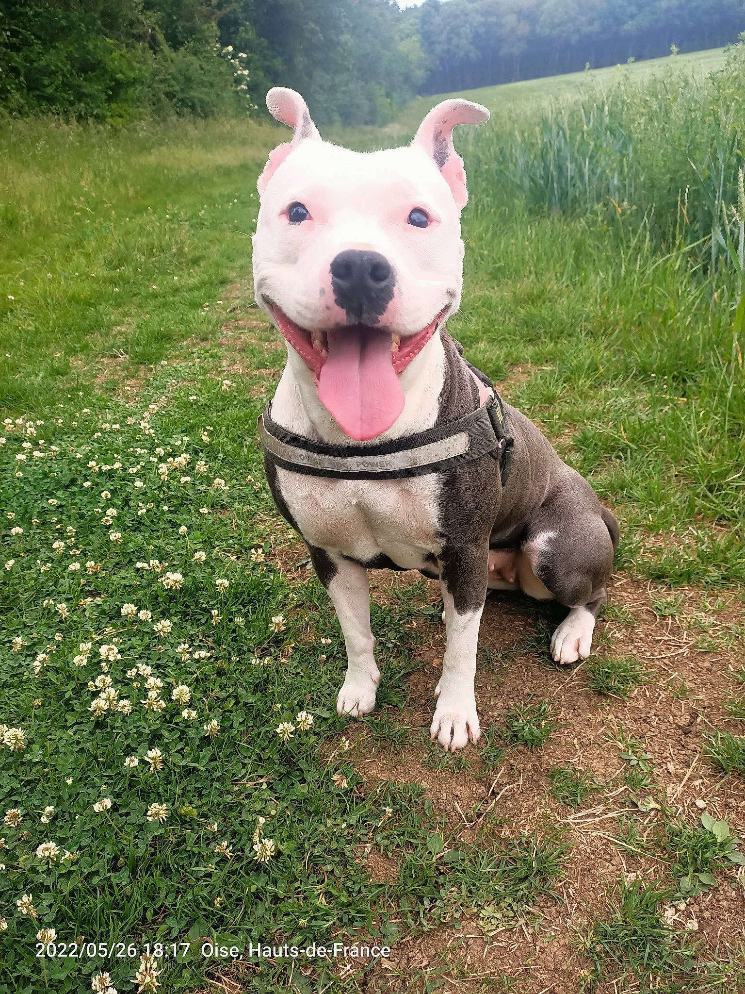 Mala