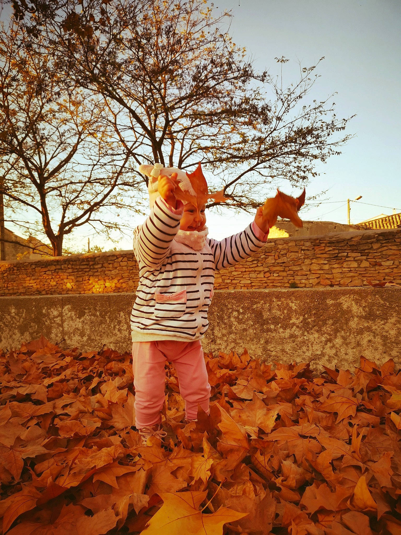 Soana participe au concours pour gagner de l'argent avec cette photo : autumn, branch, child, deciduous, fawn, leaf, people_in_nature, person, photography, plant, sky, stock_photography, toddler, tree, wood, woody_plant