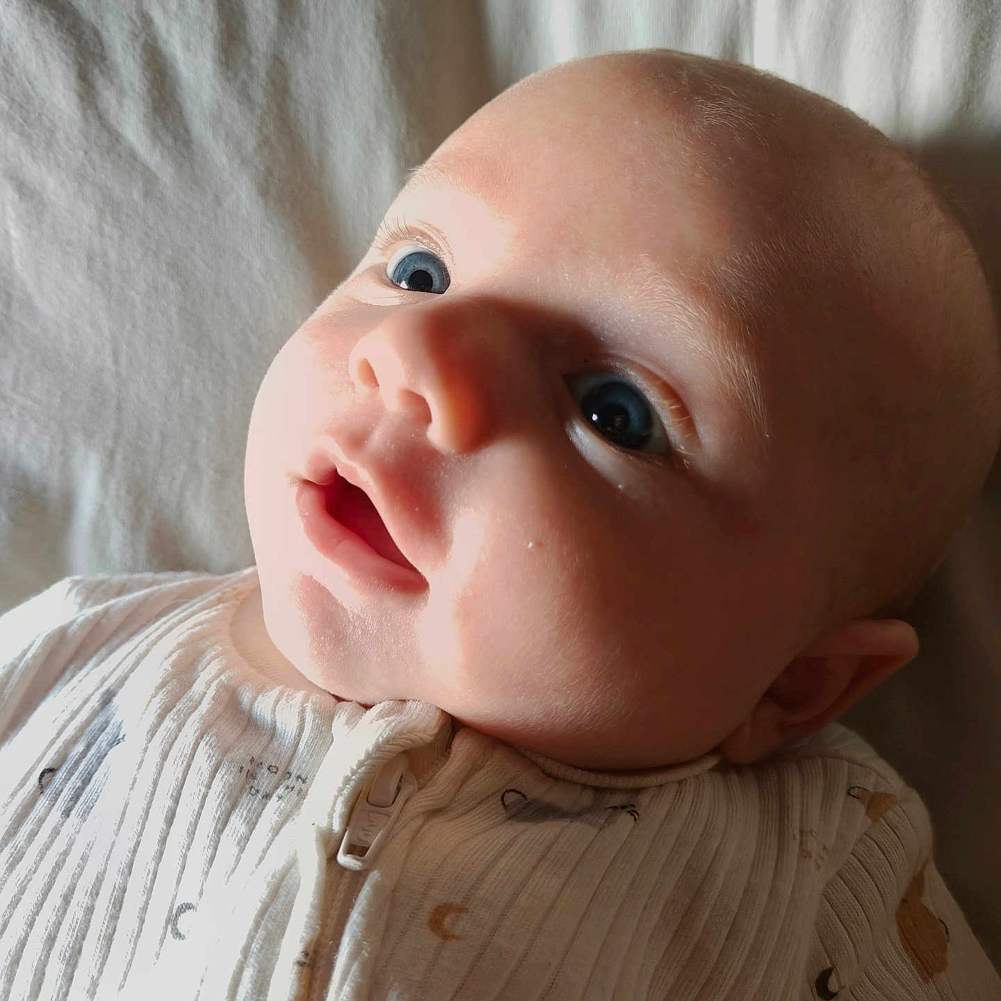 Esteban participe au concours pour gagner de l'argent avec cette photo : baby, infant, face, eyes, expression, blanket, onesie, sleepwear, closeup, portrait, skin, head, light, natural_light, soft_texture, curious, child, newborn, indoor, cute