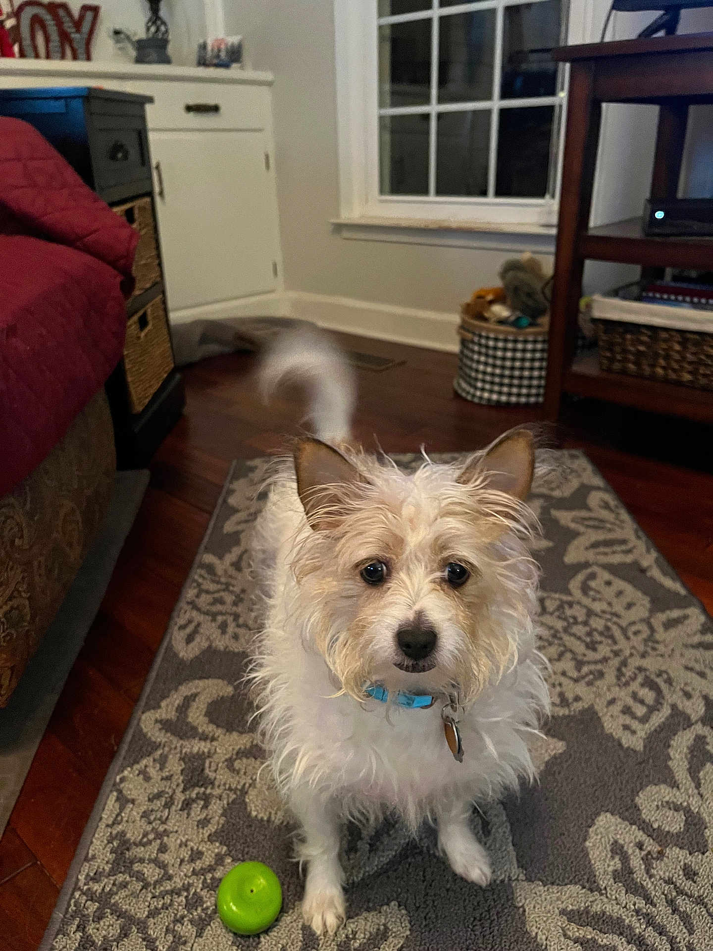 Chloe