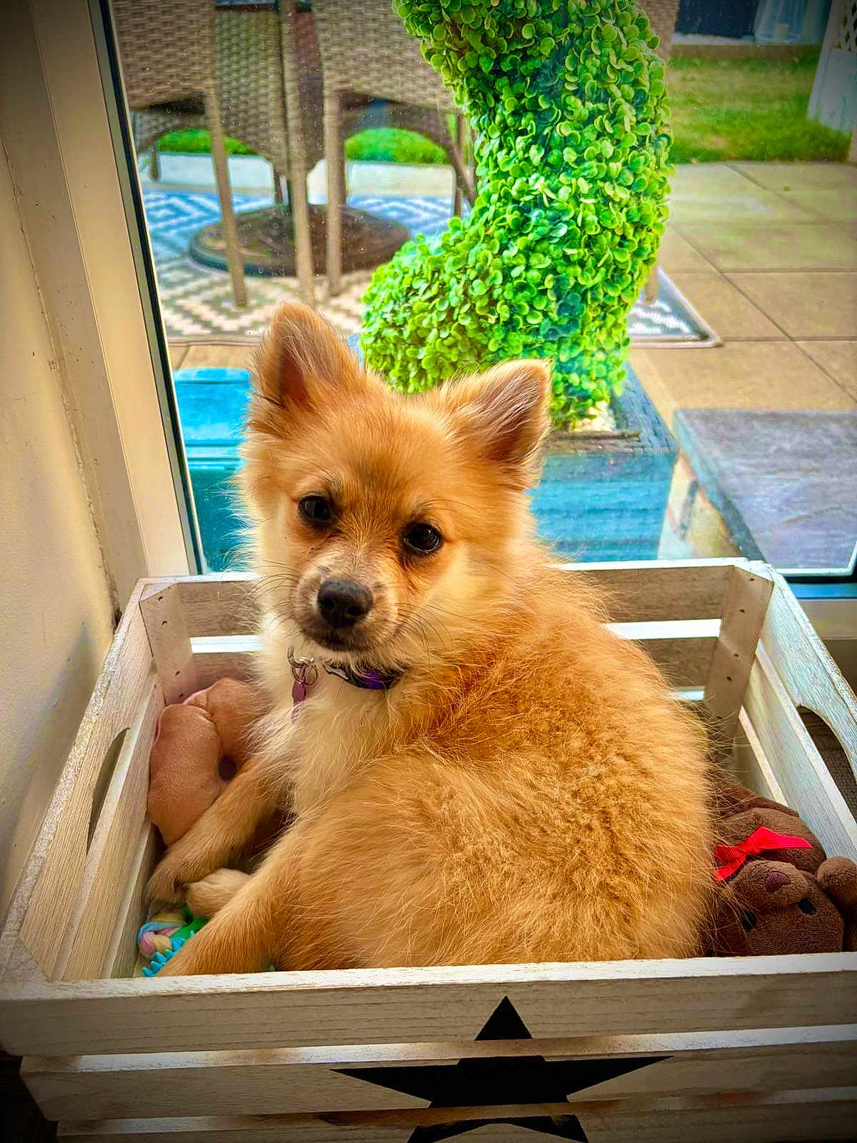 Coco