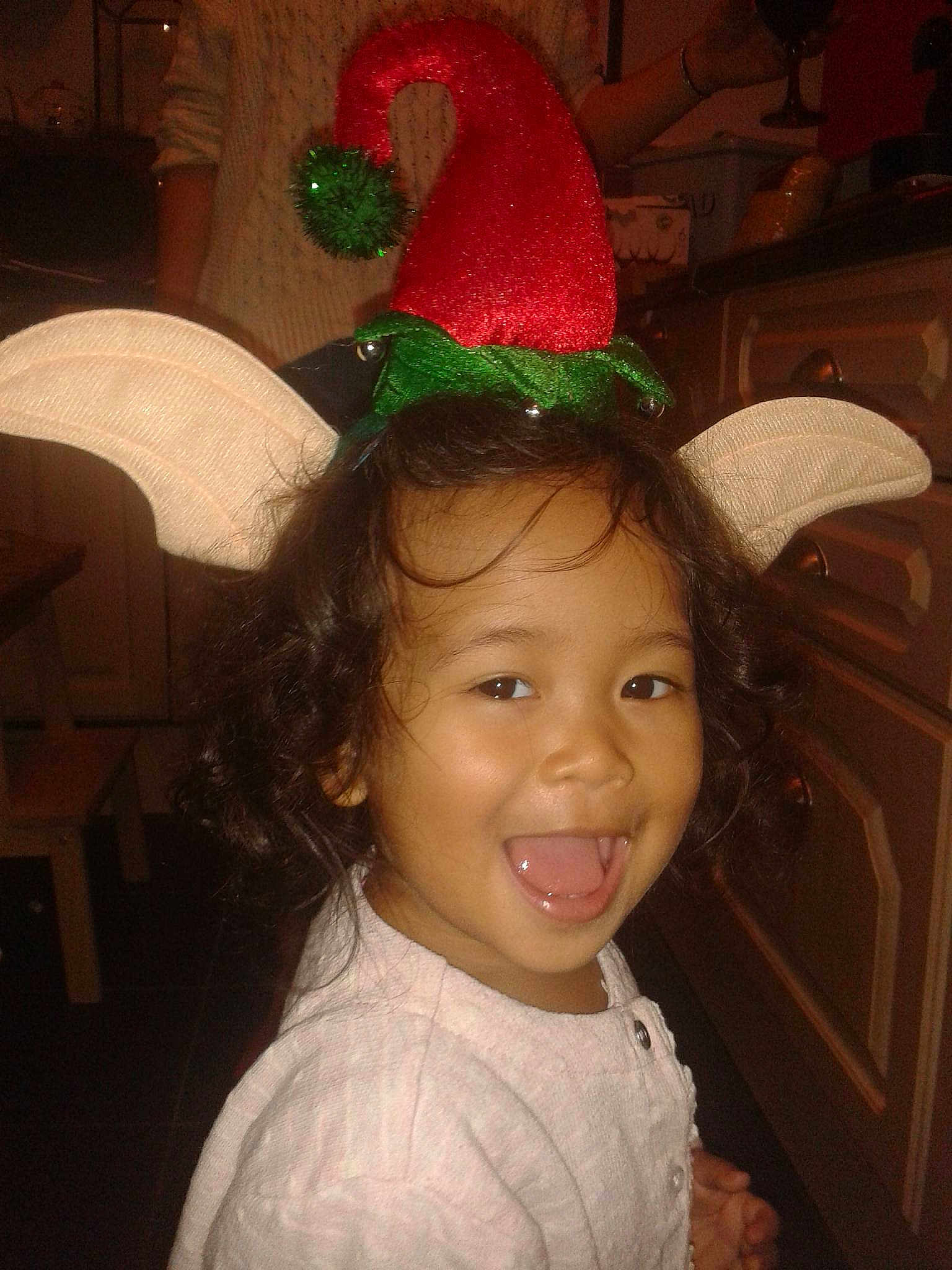 Amiera