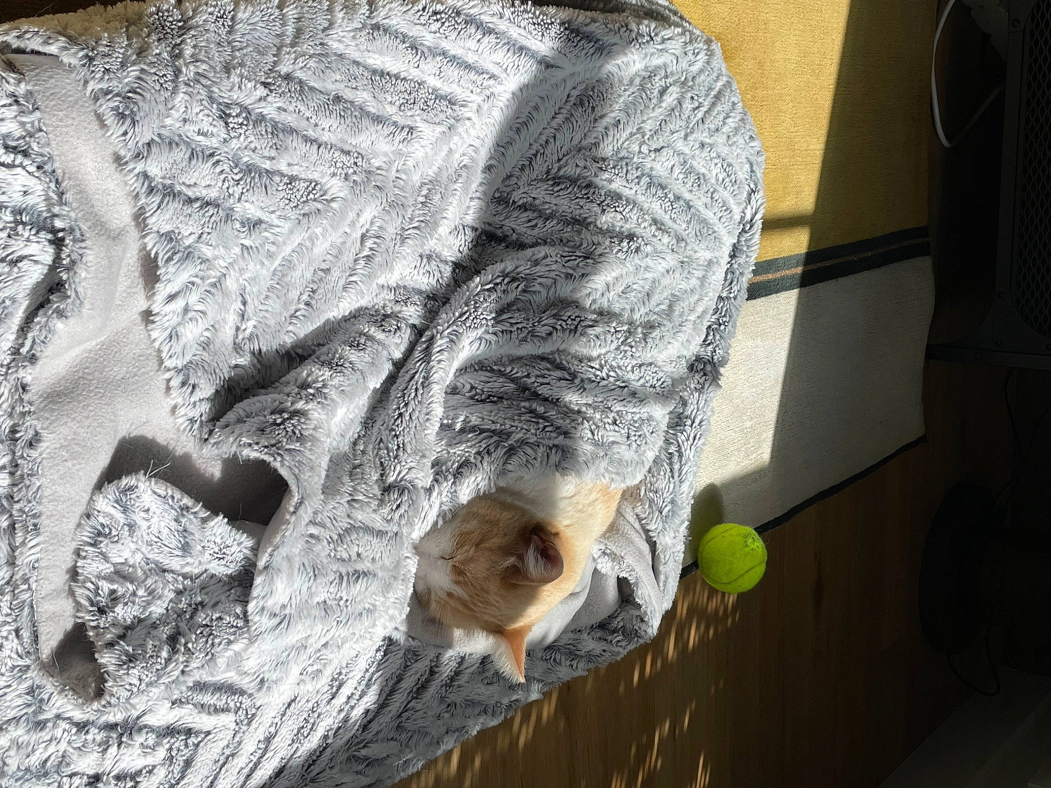 Snow participe au concours pour gagner de l'argent avec cette photo : art, automotive_tire, carnivore, cat, denim, domestic_short_haired_cat, felidae, fur, grey, pattern, rock, roof, sleeve, small_to_medium_sized_cats, snout, tail, tree, trunk, whiskers, wood