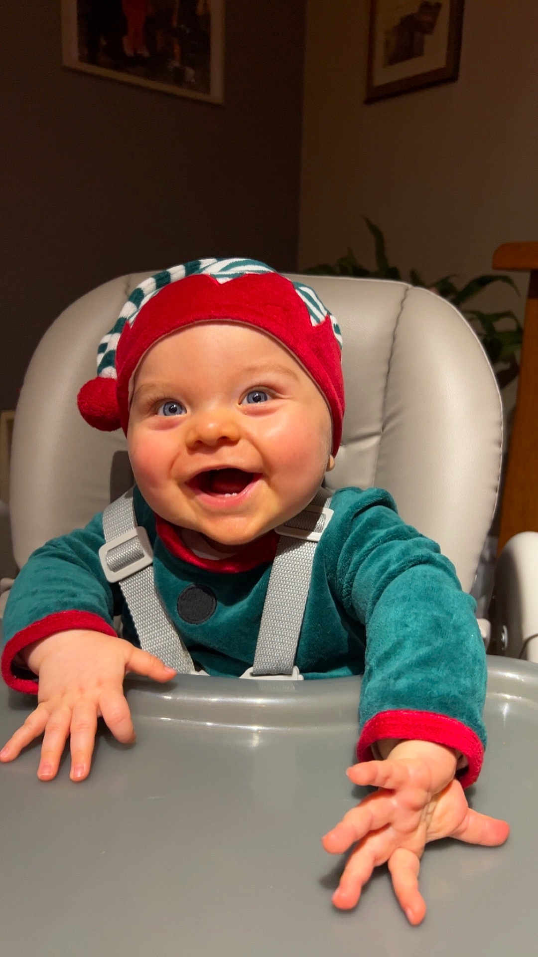 Malo participe au concours pour gagner de l'argent avec cette photo : baby, infant, high_chair, smile, elf_hat, holiday_outfit, green_clothing, red_hat, blue_eyes, rosy_cheeks, hands, tray, straps, seat, cute, portrait, indoor, happy, child, person