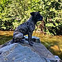 dog, brindle, rock, stream, water, trees, nature, outdoor, animal, canine, sitting, forest, sunlight, shade, river, wildlife, pet, mammal, scenery, daytime