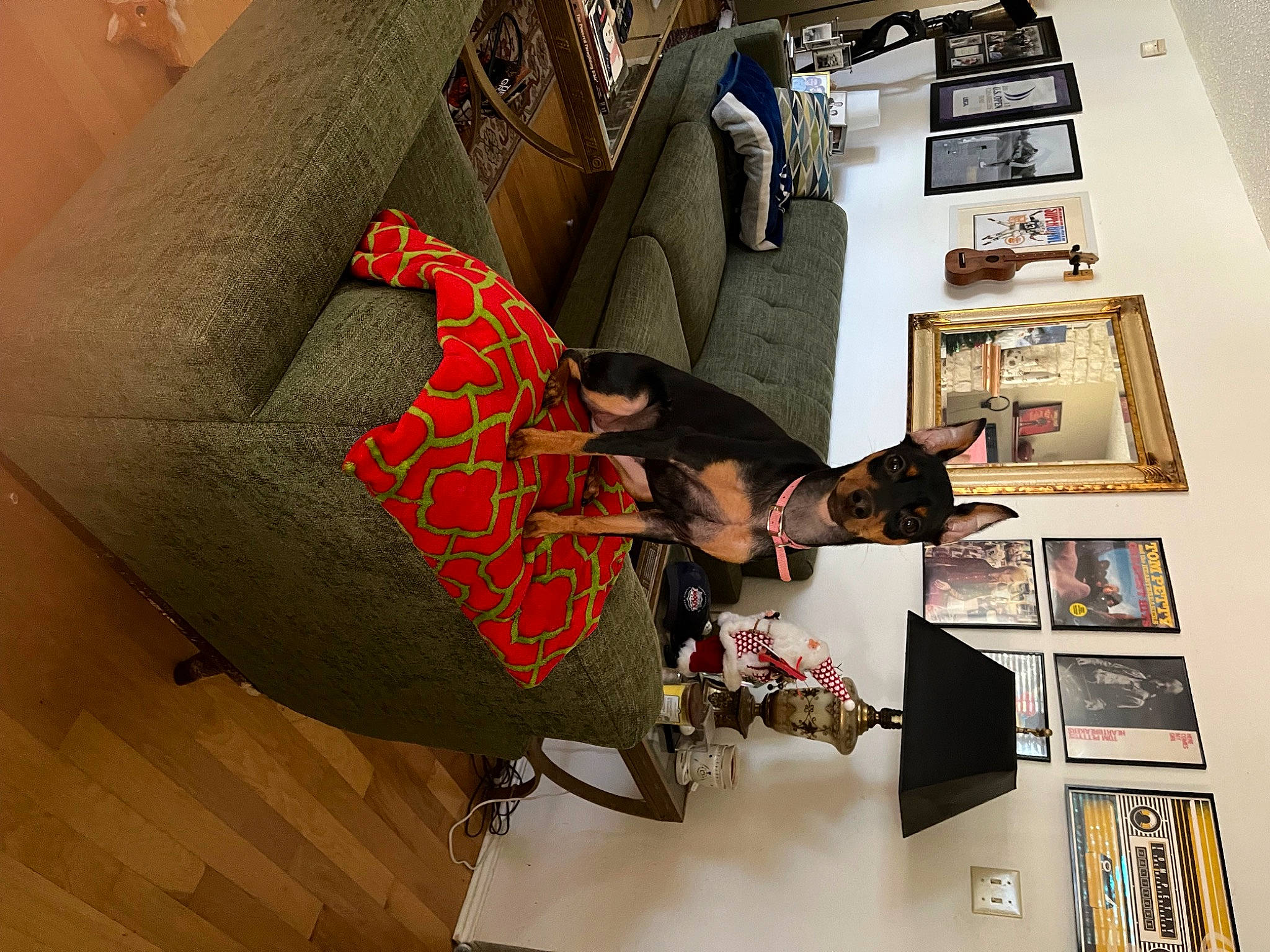 Birdie is registered to the contest to win money with this photo: art, automotive_design, carmine, collection, comfort, fashion_design, floor, flooring, interior_design, material_property, pattern, room, shelf, shelving, sleeve, suit, textile, visual_arts, wood