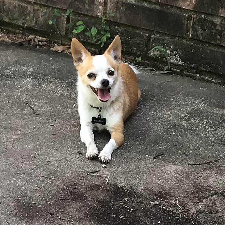 Charlie