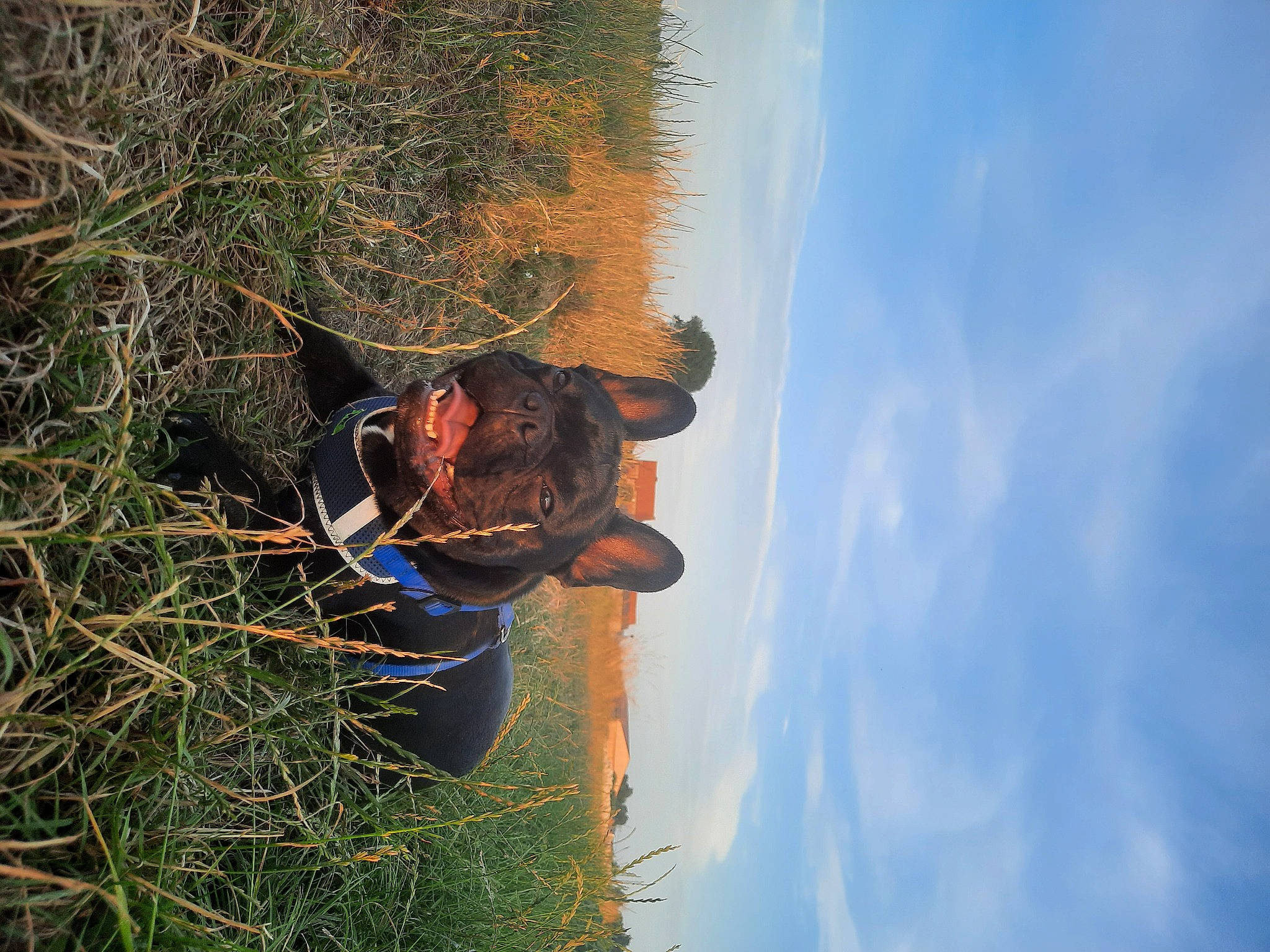 Taiko a rejoint le concours — aidez-le/la à gagner de superbes lots ! adventure, cloud, forest, fun, grass, happy, landscape, leisure, people_in_nature, plant, recreation, reflection, sky, tints_and_shades, tree, trunk, twig, water, wood, woody_plant