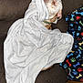 Chief joined the competition — help win amazing prizes! dog, blanket, couch, brown, white, patterned_blanket, paws, bones, relaxed, cozy, indoor, pet, fur, wrapped, snug, fabric, resting, home, comfort, animal