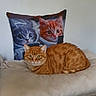 cat, orange_tabby, pillow, illustration, kitten, cushion, indoor, pet, feline, resting, soft_fabric, cute, animal, domestic_cat, striped_cat, relaxed, bedroom, home, cozy, comfort