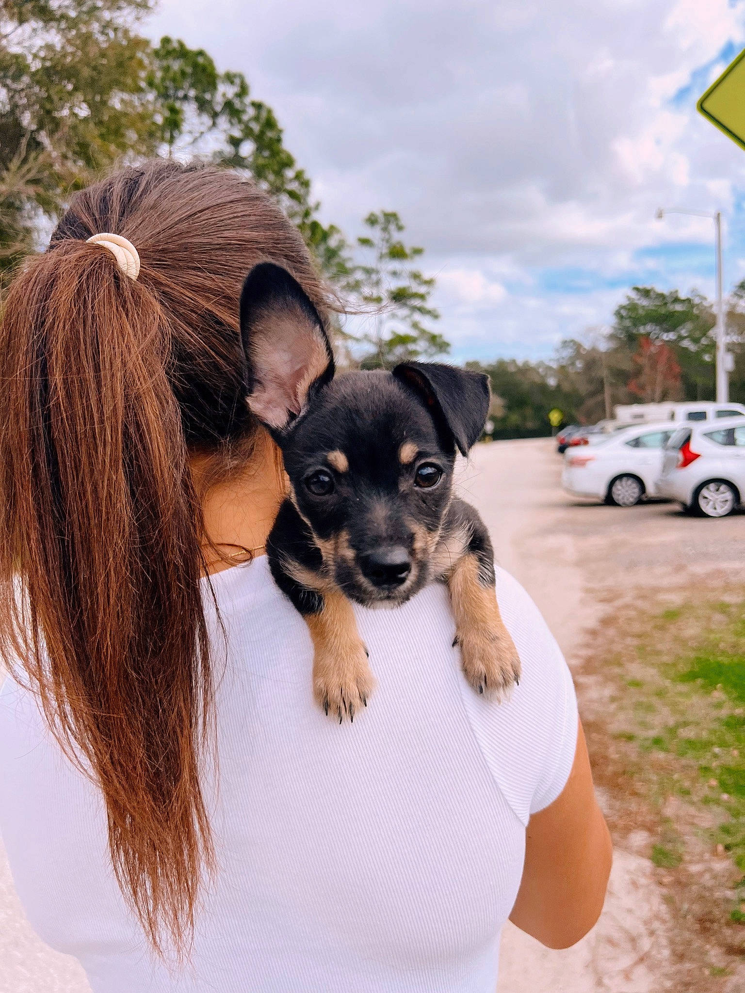 Vada joined the competition — help win amazing prizes! black_hair, car, carnivore, cloud, companion_dog, dog, dog_breed, eyewear, fawn, happy, plant, sky, snout, sunglasses, tire, toy_dog, tree, vehicle, wheel, working_animal