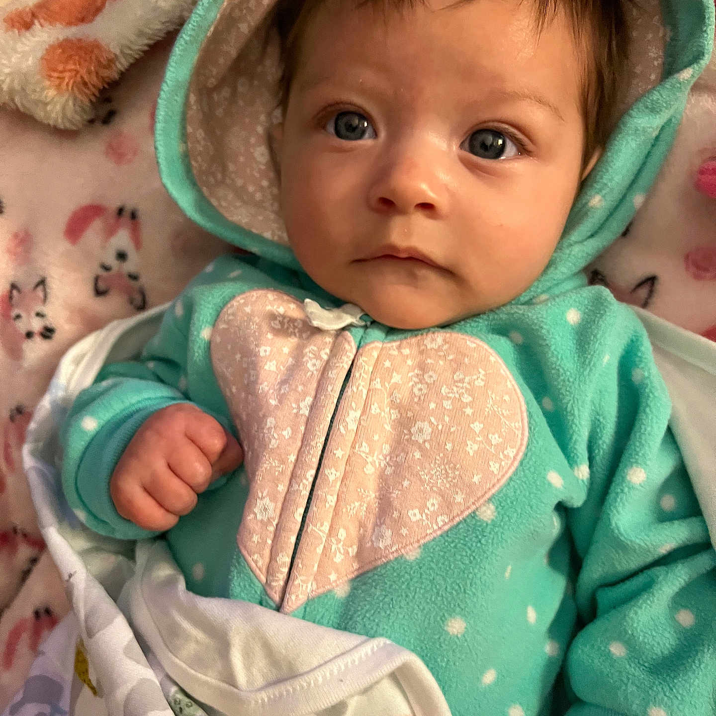 Amiyah is registered to the contest to win money with this photo: baby, blanket, bodypart, bonnet, clothing, coat, face, finger, hand, hat, head, hood, hoodie, jacket, knitwear, person, photography, portrait, sweater, sweatshirt