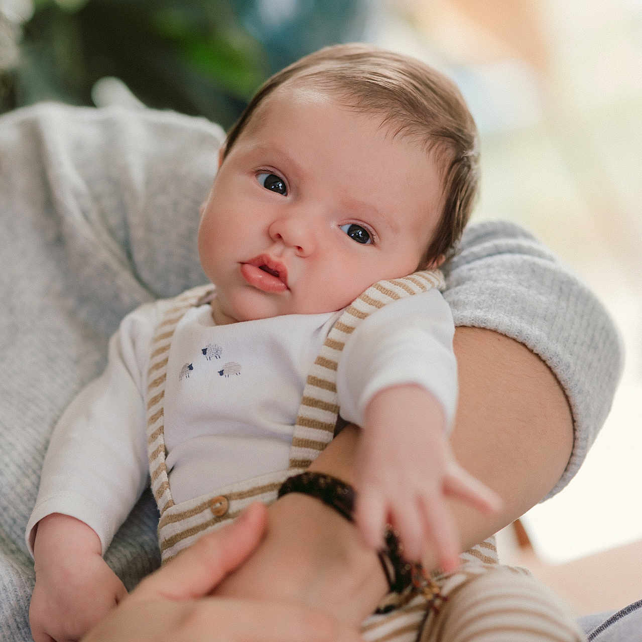 Achile a rejoint le concours — aidez-le/la à gagner de superbes lots ! arms, baby, child, closeup, clothing, cute, expression, face, holding, human, indoor, infant, person, portrait, sheep_design, skin, soft_light, striped_outfit, white_shirt, young