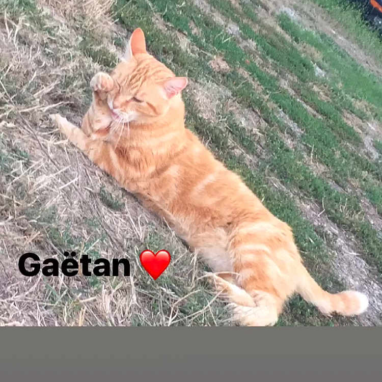 Gaëtan