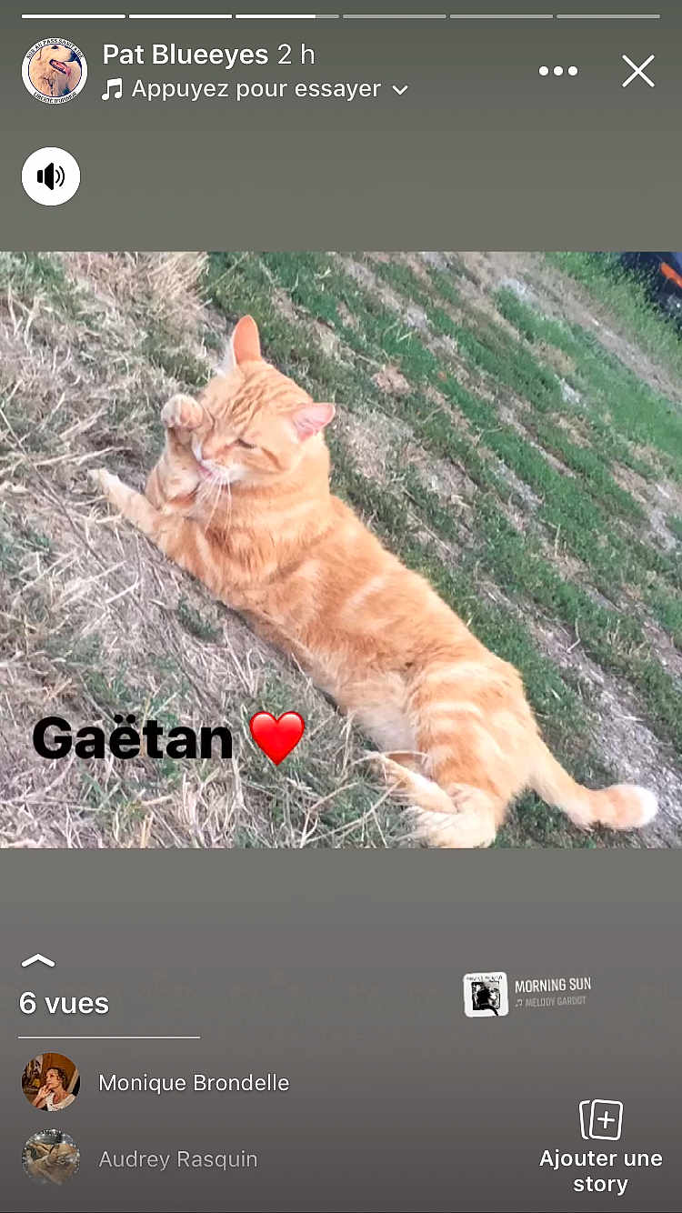 Gaëtan
