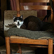 Farfouille participe au concours pour gagner de l'argent avec cette photo : cat, black_and_white, wooden_chair, cushion, indoor, animal, pet, feline, resting, dim_lighting, rustic, curious, fur, whiskers, face, seat, domestic, quiet, still_life, wood