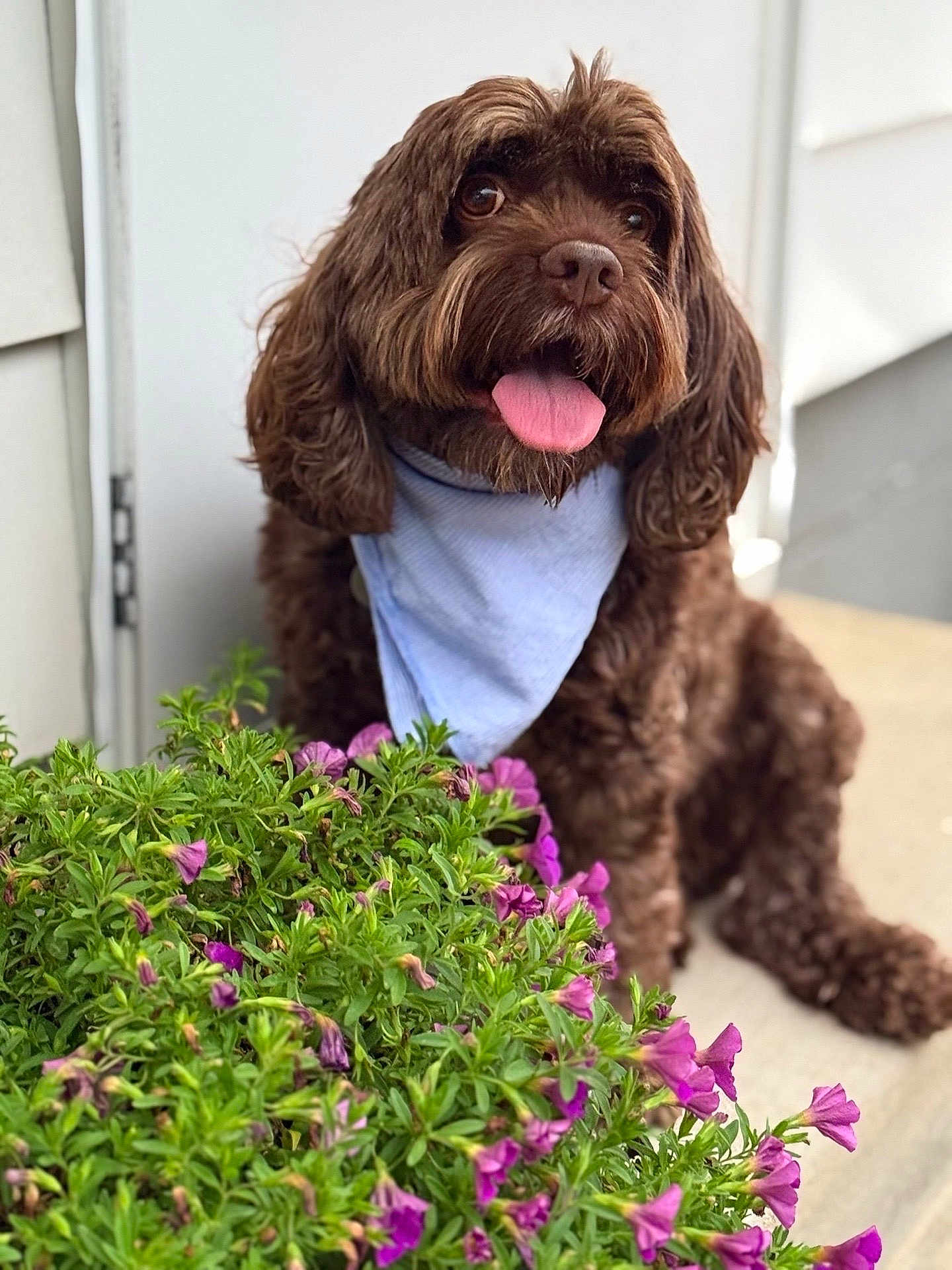 Archie