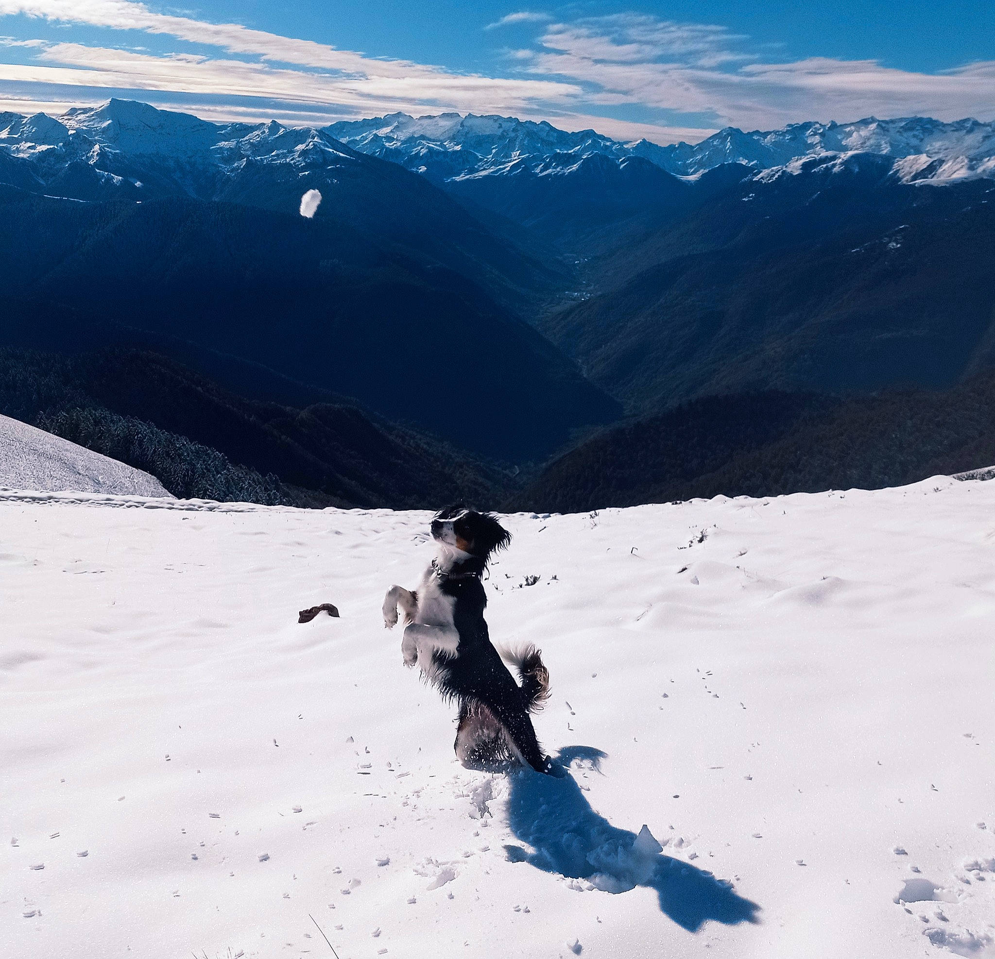 Alba participe au concours pour gagner de l'argent avec cette photo : cloud, freezing, geological_phenomenon, glacial_landform, hill, ice_cap, landscape, mountain, mountain_range, mountainous_landforms, nunatak, people_in_nature, recreation, ski_equipment, sky, slope, snow, terrain, valley, winter_sport