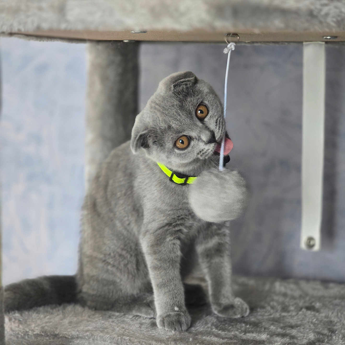 Bijoux