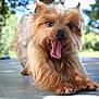 Tanguy participe au concours pour gagner de l'argent avec cette photo :