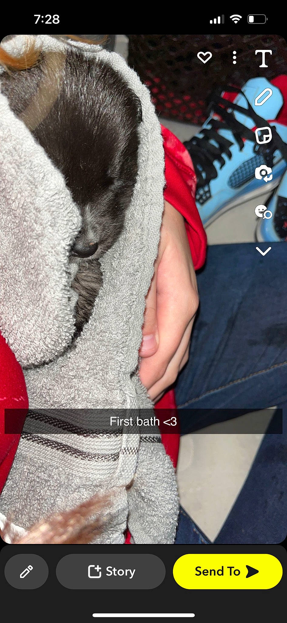 Zion joined the competition — help win amazing prizes! arm, carmine, denim, elbow, fashion_accessory, felidae, fur, gesture, grey, hand, human_leg, nail, outerwear, pattern, sleeve, sportswear, t_shirt, textile, thigh, wrist