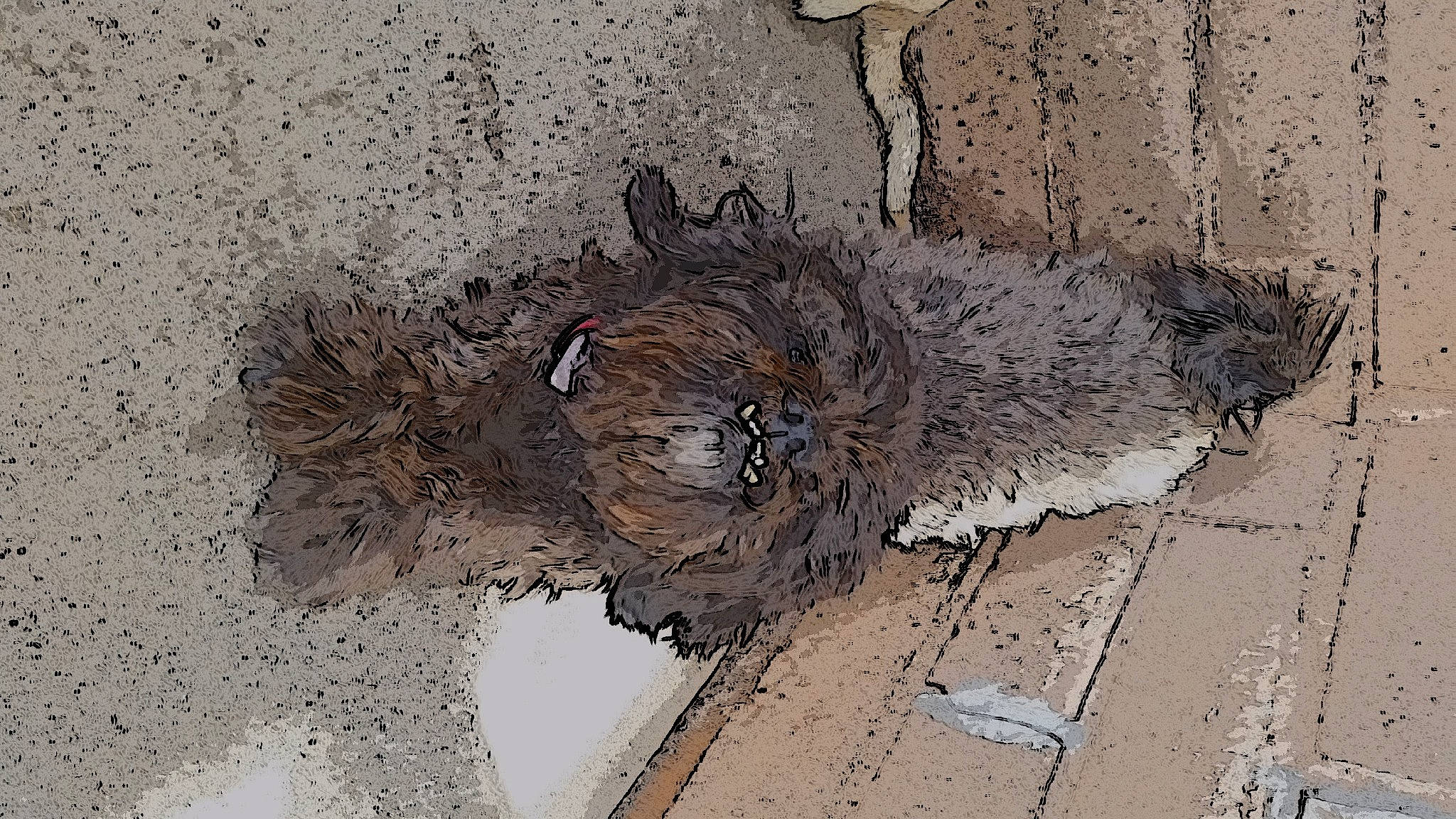 Kiwi joined the competition — help win amazing prizes! art, asphalt, bird, cement, circle, concrete, feather, grey, pattern, road_surface, soil, tail, trunk, visual_arts, wood