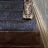 cat, tabby, stairs, carpet, necklace, cross, indoor, pet, animal, sitting, feline, striped, wall, home, cute, accessory, portrait, looking, still, funny