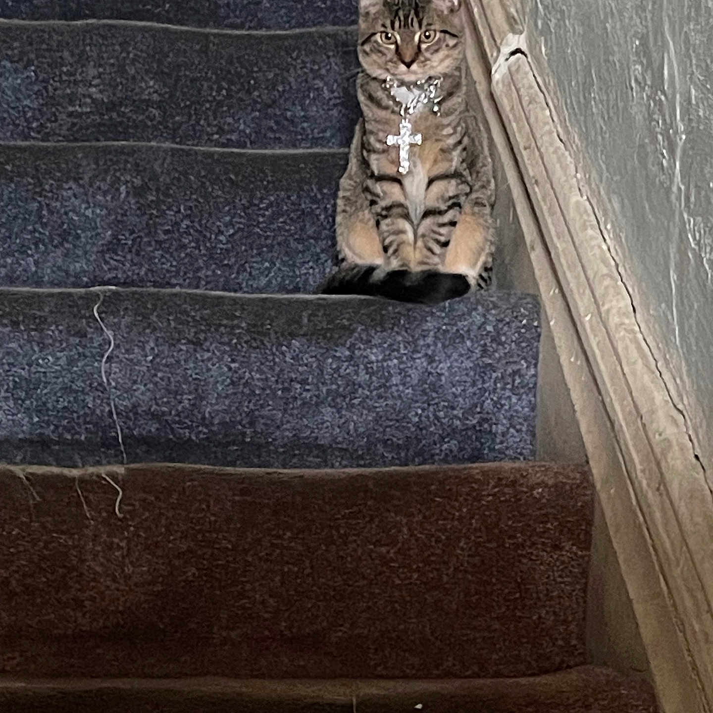 King Handsome