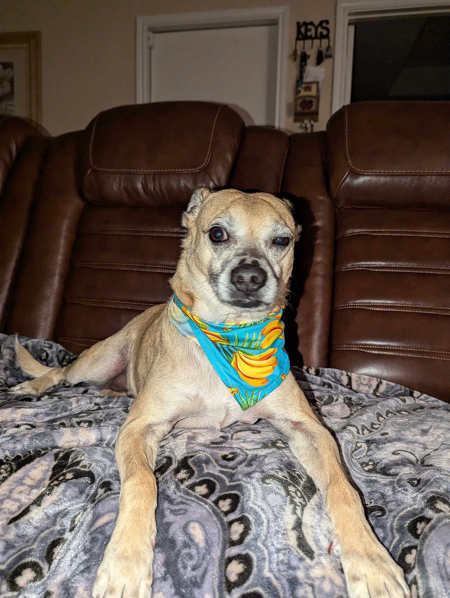 Eddie