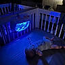 baby, crib, blue_light, sleeping, toy, night, bedroom, infant, onesie, calm, peaceful, indoor, soft_light, reflection, furniture, quiet, baby_sleep, room, child, dark
