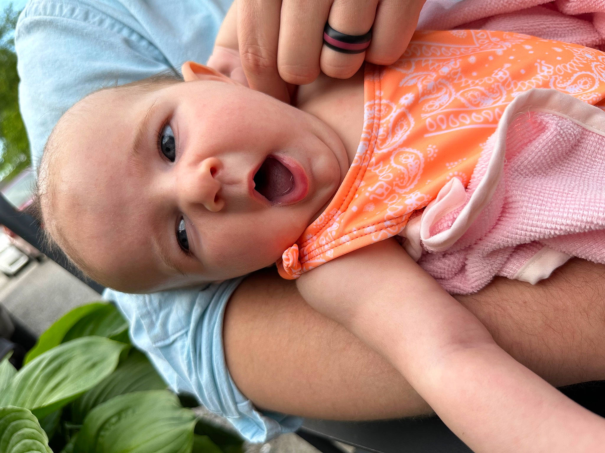 Haisley joined the competition — help win amazing prizes! cheek, child, eye, eyelash, gesture, happy, hat, human_body, iris, leaf, lip, mouth, nose, organ, person, plant, skin, smile, thigh, toddler