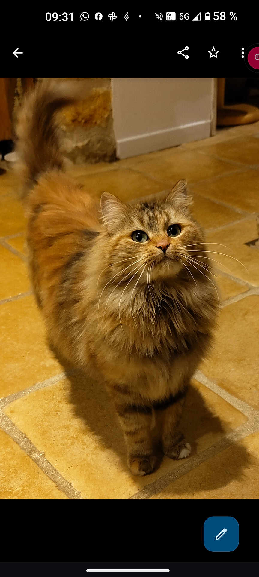 Nala