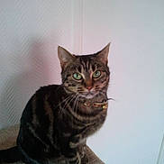 Mysti participe au concours pour gagner de l'argent avec cette photo :