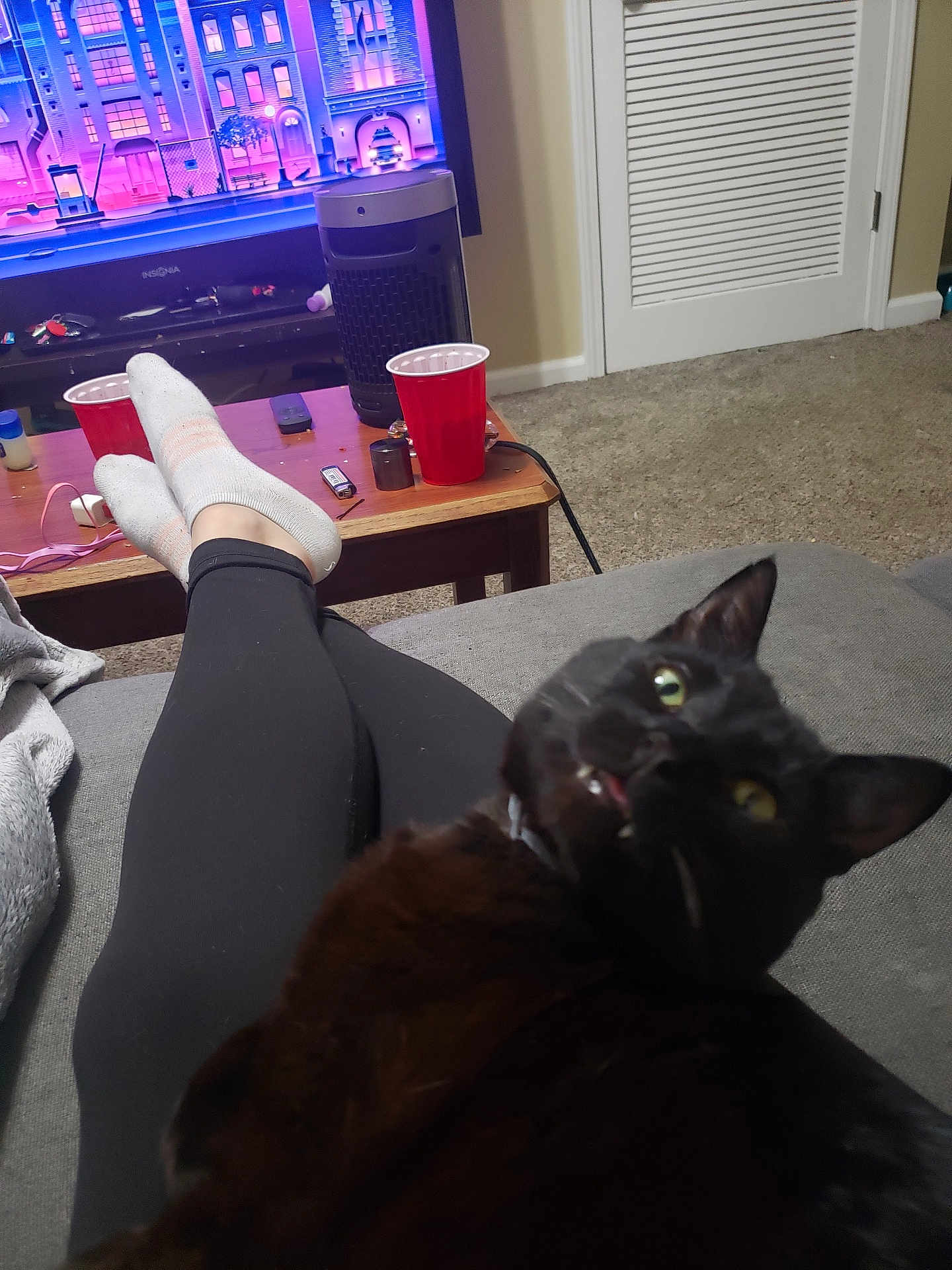 Jasper joined the competition — help win amazing prizes! black_cat, blanket, carpet, cat, coffee_table, couch, door, electronics, feline, furniture, home, indoor, legs, living_room, person, red_cup, relaxing, remote_control, socks, television
