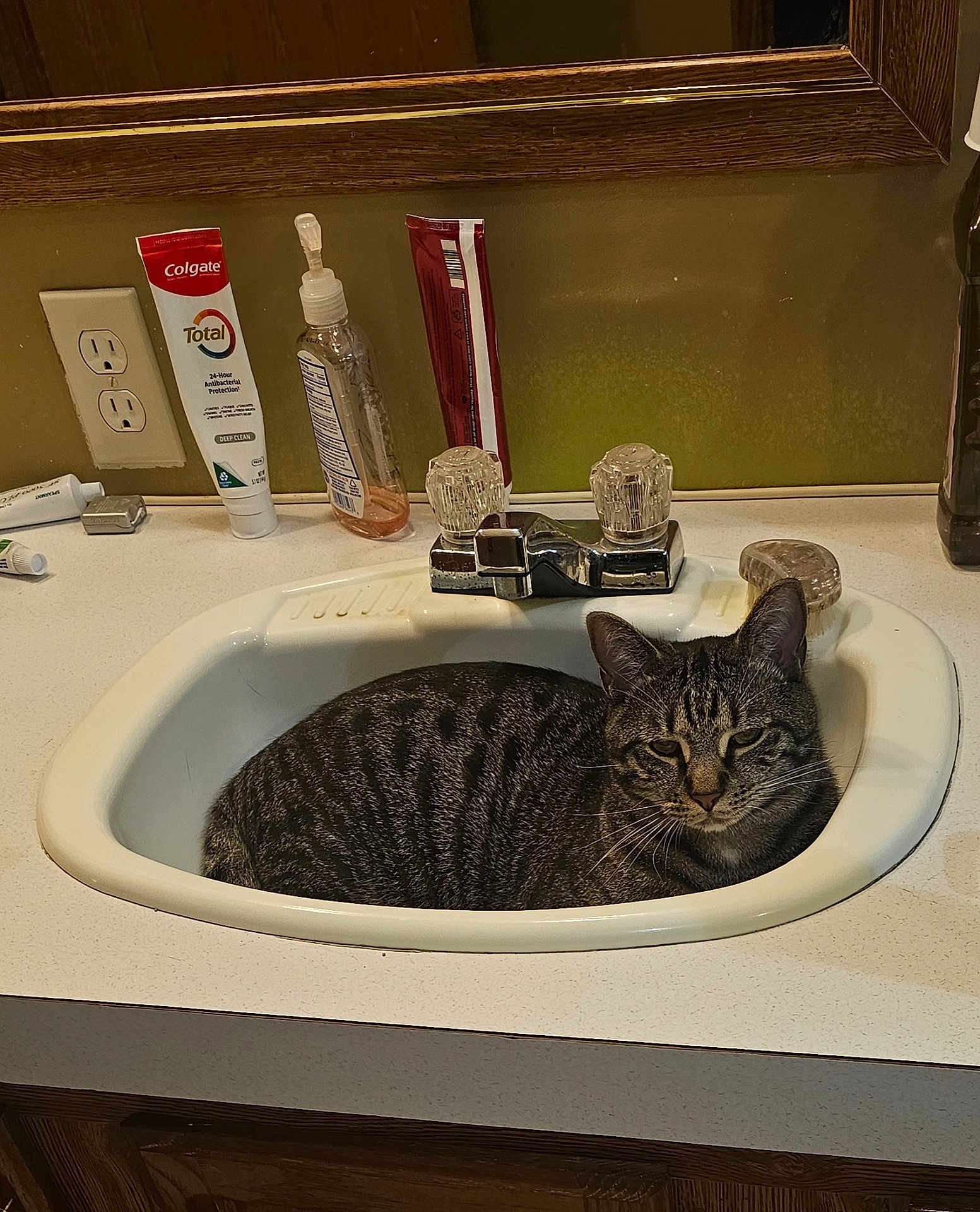 Milo