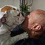 Jazmine is registered to the contest to win money with this photo: bulldog, dog, man, kiss, affection, tattoo, gold_chain, indoor, plant, couch, close_up, pet, companion, friendship, love, animal, portrait, head, skin, beard